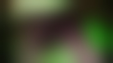 LAPAROSCOPIC RIGHT HEPATECTOMY