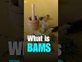 What Is BAMS | Bachelor of Ayurvedic medicine and surgery #ayurvedic #ayurved #ayurveda