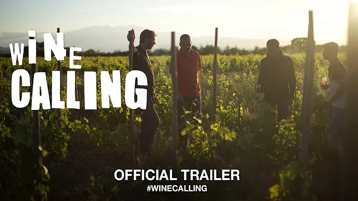 Wine Calling (2019) | Official Trailer HD - DayDayNews