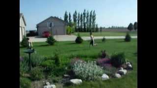 Water Balloon Extreme 2