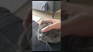 Mino Halinden Memnun