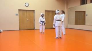 2014 Karate