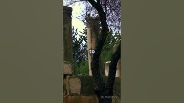 The Tower of Babel - A Quick Dive!