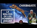 CHIRIBIQUETE: La maloka cósmica de los hombres jaguar. Documental Completo #chiribiquete #arquetipos