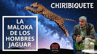 CHIRIBIQUETE: La maloka cósmica de los hombres jaguar. Documental Completo #chiribiquete #arquetipos