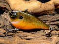 Autumn Fire Gill Crankbait Painting Tutorial