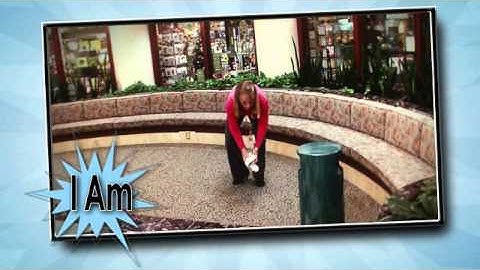 The Power of 1 - LMH Service Excellence