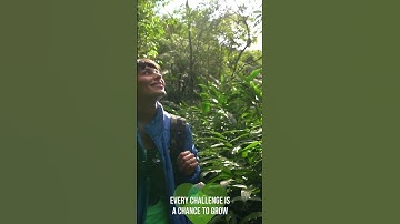 Transform Setbacks into Strength