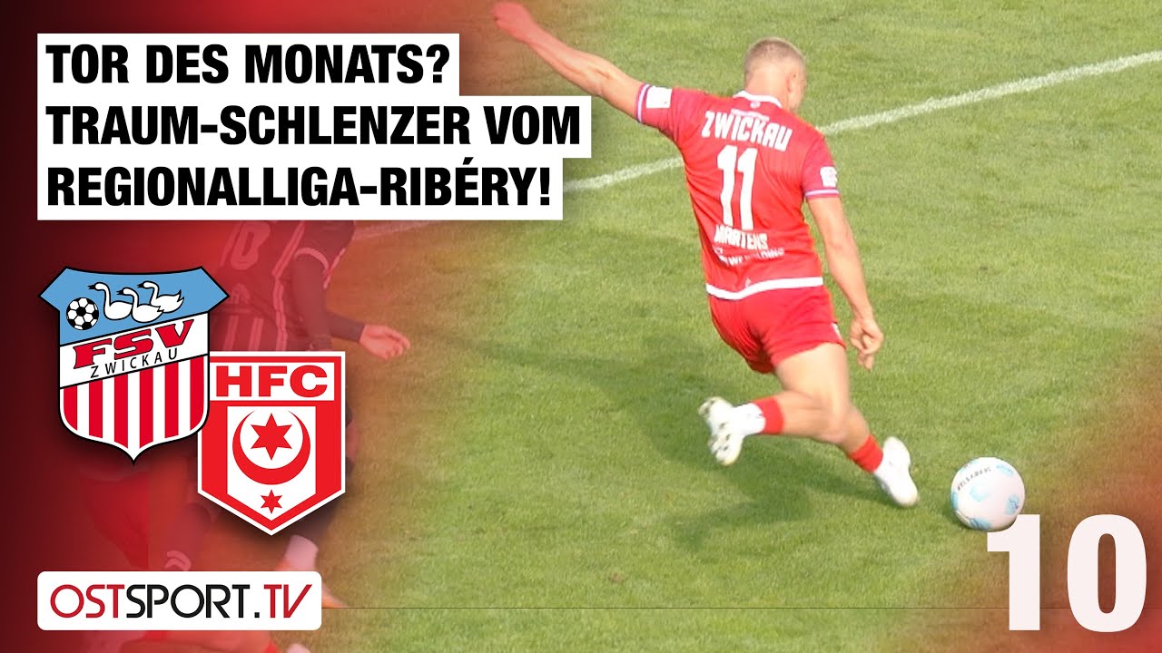 Tor des Monats? Regionalliga-Ribéry traumhaft: FSV Zwickau - Hallescher FC | Regionalliga Nordost