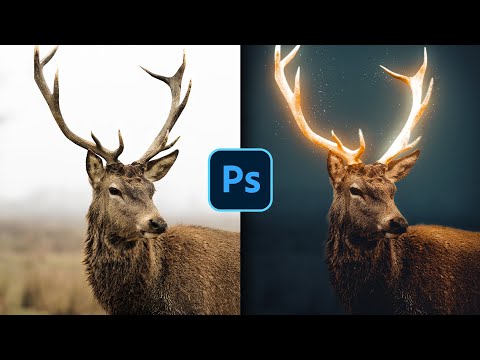 Video: Come posso rendere qualcosa di più luminoso in Photoshop?