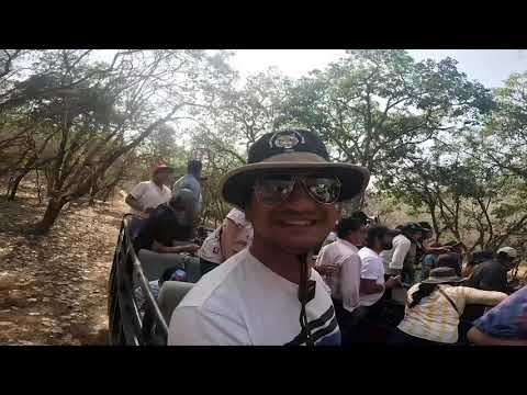 Ranthambhore ke jangal me dekha tiger .......