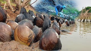 Wow finding calms in river said by fisher women by skill & too many big calms nature