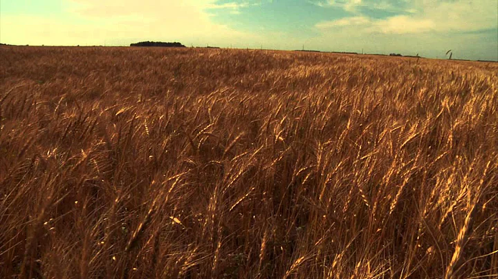 Norman Borlaug & The Green Revolution