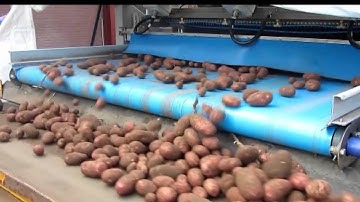 Whole unwashed potato sorting machine FPS - TOMRA Sorting