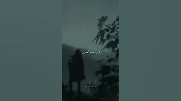 افضل حالات واتس لمهرجان سالك علشان جدع حلقولو 