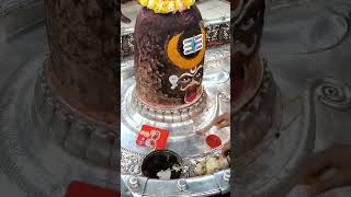 bhav se japo bhola nath mangalum #mahakal #shyam #viral #live #ipl #hindutemple