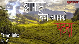 NEPALI HORROR STORY | JHAPA MA CHIYA BAGAAN KO GHATANA | SATYA GHATANA | TRIKON TALES | EP 75