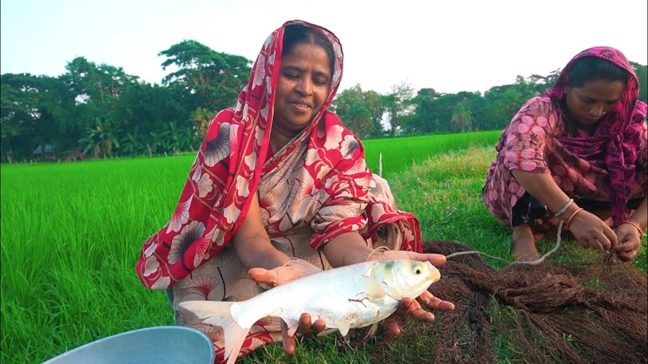 best fish catching by machhali wala hunting big fish by cast net