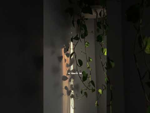 صوت القرآن الكريم يريح قلب القرآن الكريم يوميات تحفيزي اكسبلور يوتيوب تحفيز قرآن لايك 