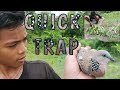 How to make QUICK TRAP/ Simple and easy BIRD TRAP / catch and realese