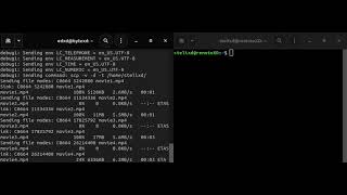 SCP Command -  Copy Files Verbose Mode screenshot 2