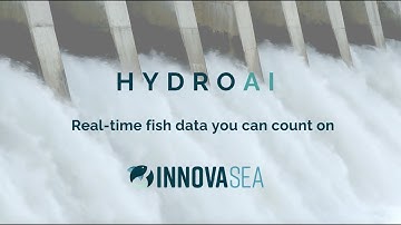 HydroAI Automated Fish Counting and Identification