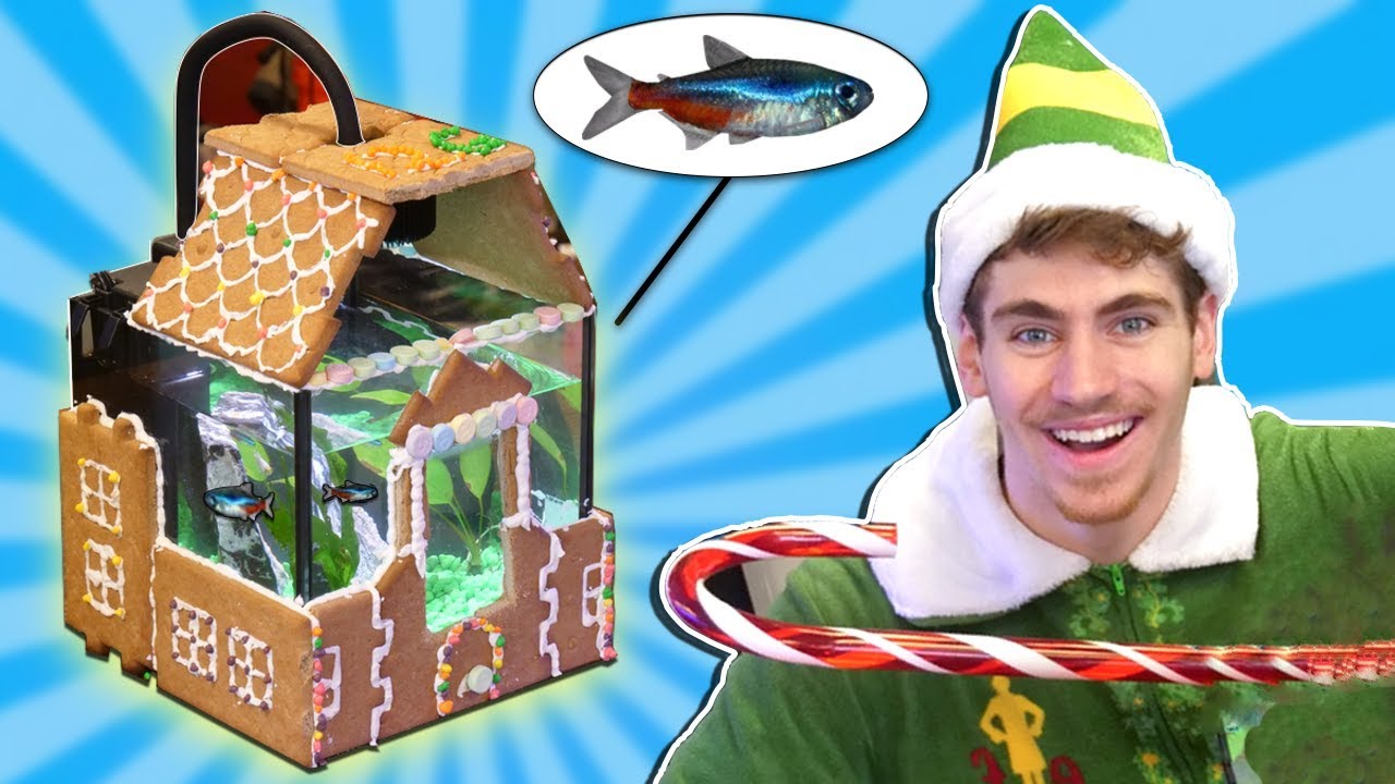 I BUILT THIS FISH TANK OUT OF GINGERBREAD!!! (live fish inside) YouTube