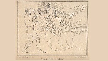 Suy niệm || THIÊN CHÚA TÁC SINH SỰ SỐNG, CON NGƯỜI GÂY NÊN CÁI CHẾT || Lm. Giuse Nguyễn Trọng Sơn