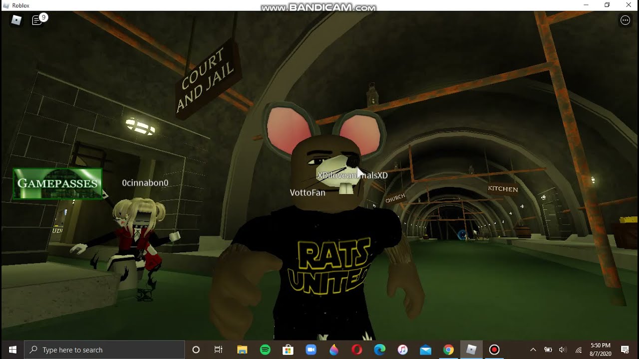 roblox rat face