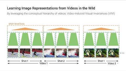 Self-Supervised Learning of Video-Induced Visual Invariances