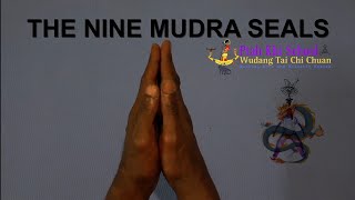9 Mudra Hand Seals