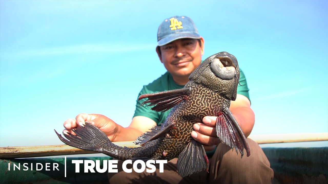 ⁣How 'Devil Fish' Invaded North America. Could Pet Treats Be The Solution? | True Cost | In