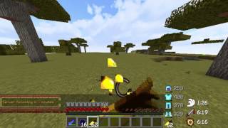 Kohi Practice 1: Fights