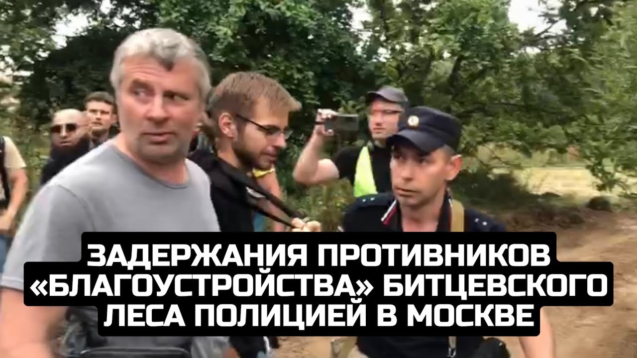 Задержания противников «благоустройства» Битцевского леса полицией в Москве