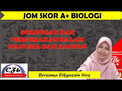 Video: Adakah terdapat perbezaan antara putaran dan circumduction?