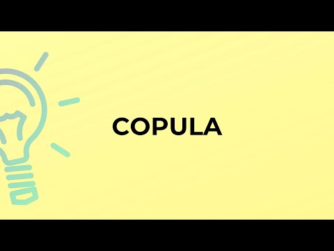 What is the meaning of the word COPULA?
