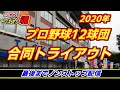 2020年プロ野球合同トライアウト【最後までノンストップ 実況ライブ配信】他球団ファンも大歓迎☆