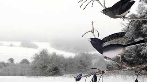 AfterEffects Parallax Test