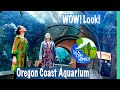 Oregon Coast Aquarium: Window of Wonder into the Magnificent Undersea World