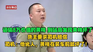 运输8万价值的黄桃，到站后发现黄桃坏了，货主要求司机赔偿，司机：他讹人，黄桃有可能在装车前就坏了！#真实事件 #真实案件 #案件解析 #案件 by 法在身边官方频道 The Laws Around Official Channel 1,909 views 5 days ago 13 minutes, 32 seconds