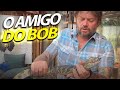 O BOB TEM UM NOVO PARCEIRO! | A CASA DOS BICHOS