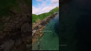 Deutsche Lieder #song #viralshort #music #musikvideo #deutsch #wildnis #nature