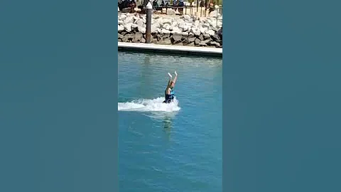 Meg dolphin standup
