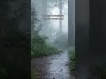 #rain #relax #viral #shortvideos #asmr #peace #love #calm #viralvideos #relaxing #relaxtime