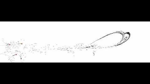 Point vortices for Obama