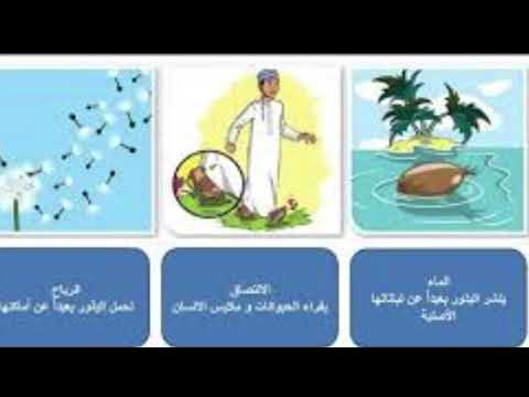 الازهار في النبات انواع الازهار اشكال الازهار اهميتها انتشار البذور عوامل نمو الشجره احتياجات الشجرة