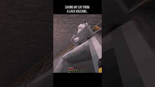 Minecraft, But Lava is Falling from the Sky! (Saving My Wolf)