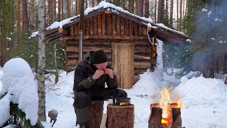 Battling Wind and Snow: SURVIVING a Harsh WINTER in a Log Cabin!