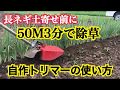 長ネギ トリマー 除草作業・土寄せ前作業