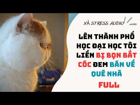 VỪA LÊN THÀNH PHỐ HỌC ĐẠI HỌC TÔI LIỀN BỊ BỌN BẮT CÓC ĐEM BÁN VỀ QUÊ NHÀ